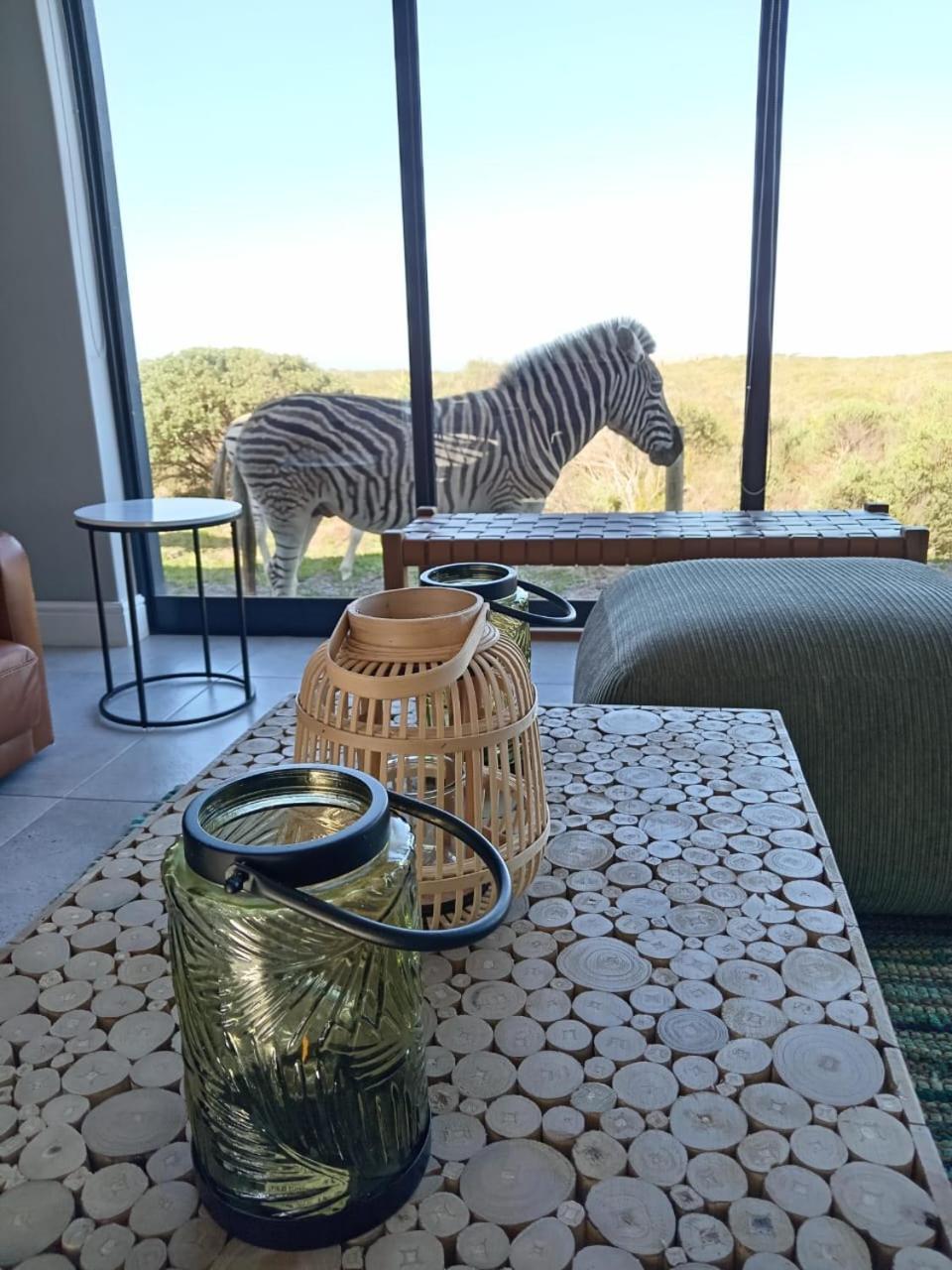 401 Kingfisher Holiday home *